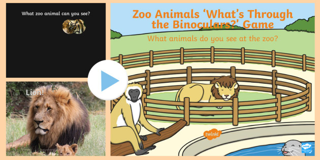 Zoo Animals What's Through the Binoculars PowerPoint Game