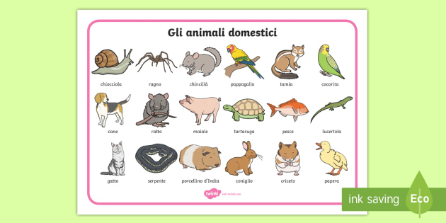 Animali domestici in inglese per bambini torrent microsoft excel 2007 free download utorrent for windows