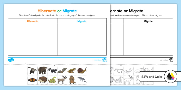 Hibernation Migration Adaptation Animal Sort - Montessori Nature
