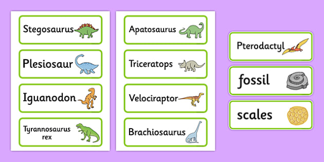 dinosaurs-word-cards-dinosaur-word-card-flashcards-history-t-rex