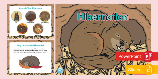 Hibernation PowerPoint Google Slides for K-2nd Grade