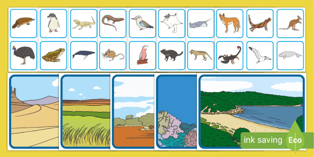 Printable Animal Matching Cards and Their Habitats - Twinkl