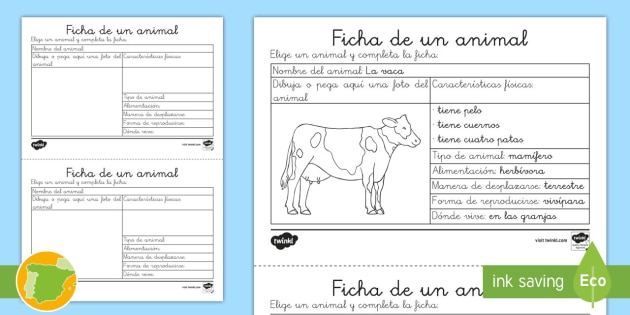 Ficha De Actividad Un Animal Teacher Made