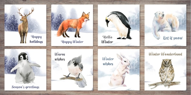 Winter Animals Festive Card Pack | Twinkl Party - Twinkl
