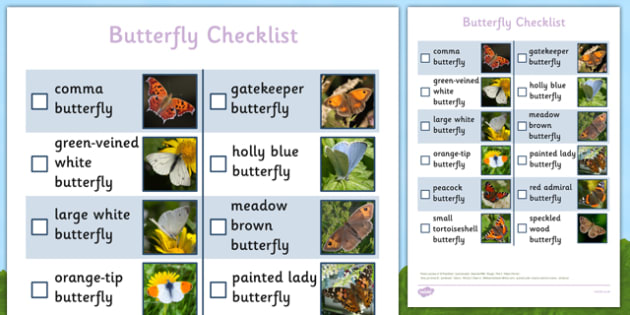 Butterfly Checklist