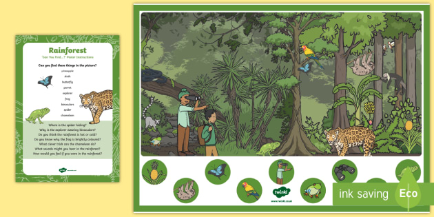 Rainforest Can You Find...? Poster and Prompt Card Pack