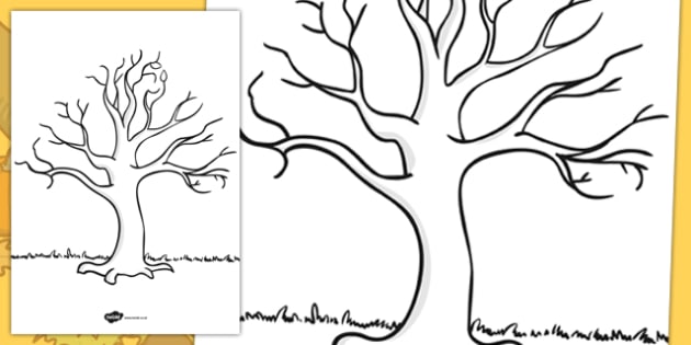 FREE Tree Template Nature Drawing Resources Year 1 