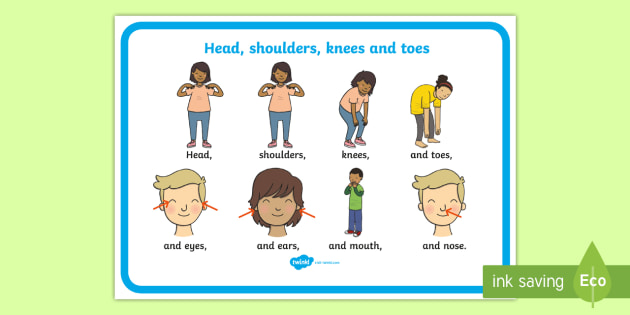 Head Shoulders Knees and Toes Poster - poster, song, head, knees