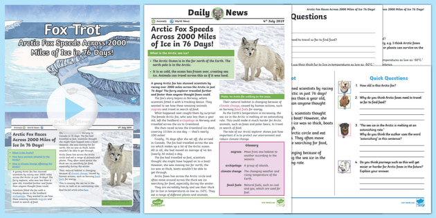 UKS2 Arctic Fox Daily News Resource Pack (teacher made)