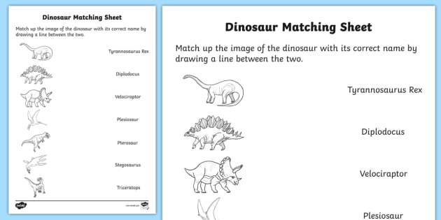 realistic dinosaurs matching sheet teacher made