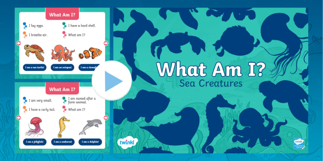 What Am I? Sea Creatures Guessing Game PowerPoint | Twinkl