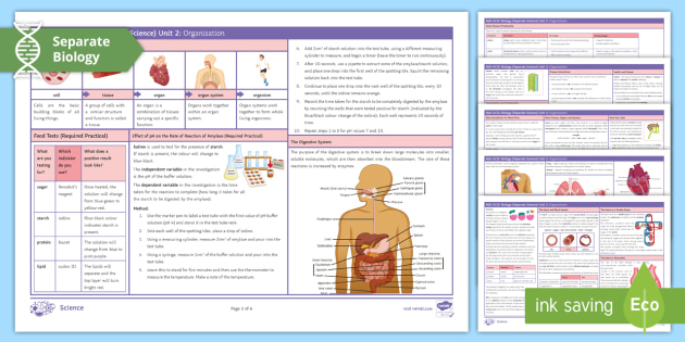 Organisation Knowledge Organiser | AQA Biology | Beyond