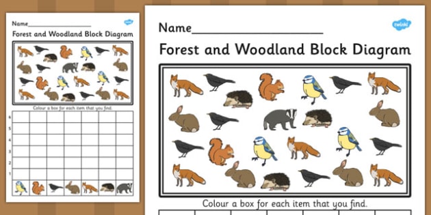Forest and Woodland Block Diagram Activity Worksheet - bar graph