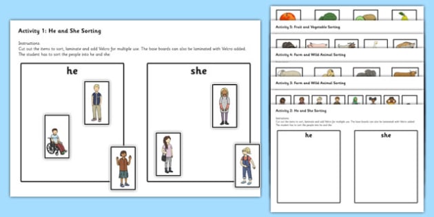 Sorting Activities (teacher made)