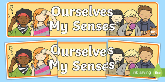 Ourselves: My Senses Display Banner (teacher made)