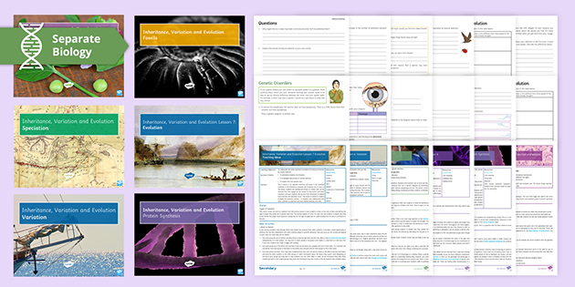 AQA GCSE Inheritance, Variation and Evolution (Separate) Lesson Pack Bundle