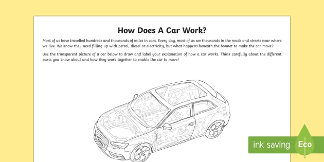 my car assignment worksheet answers