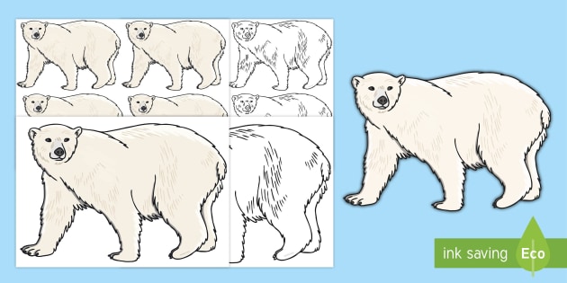 A4 Polar Bear Template Editable Primary Resources