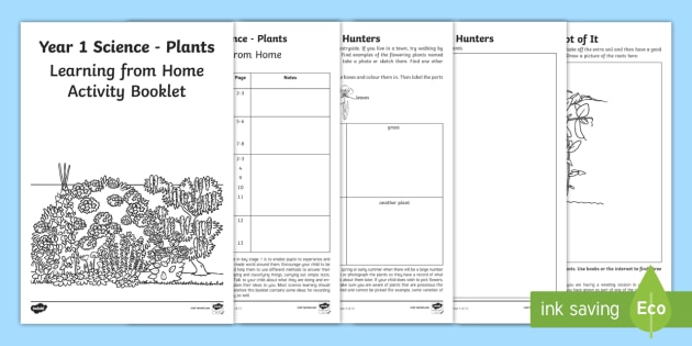 year 1 science learning from home activity booklet