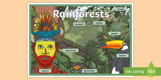 People Of The Rainforest Ks2 - Image to u