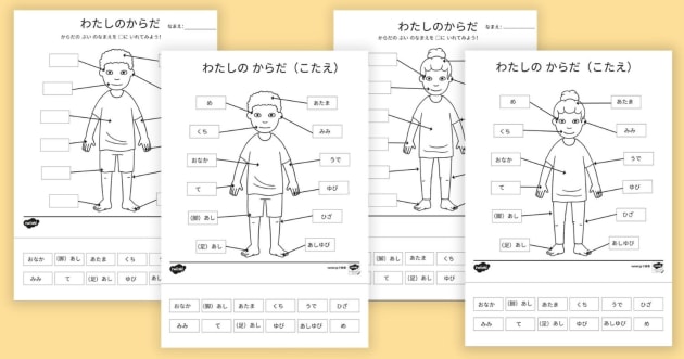 体の名前パズル 幼児の言葉練習パズル