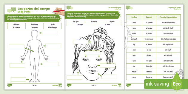 Beginner Body Parts In Spanish Worksheet