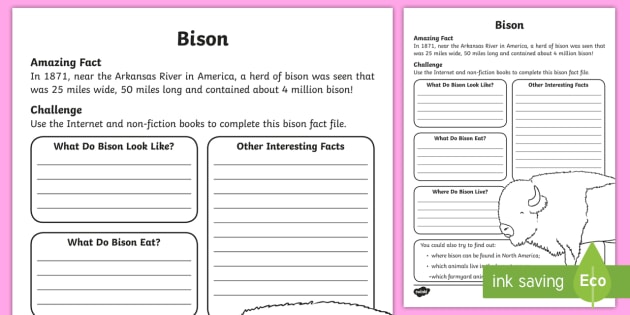 Bison Fact File Worksheet / Worksheet (teacher made)