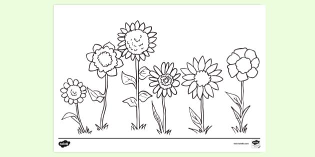FREE! - Flower Colouring Page to Print | Colouring Sheets