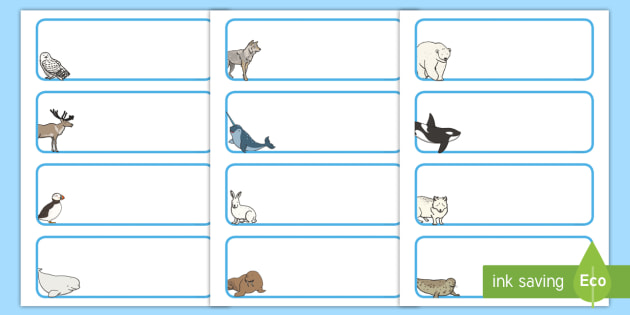 👉 Arctic Animals Themed Editable Drawer, Peg, Name Labels