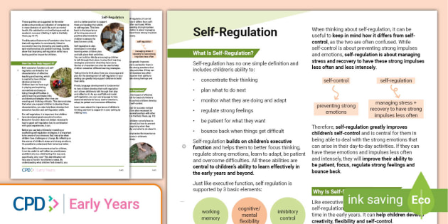 Self Regulation EYFS Practitioner Support Handout CPD