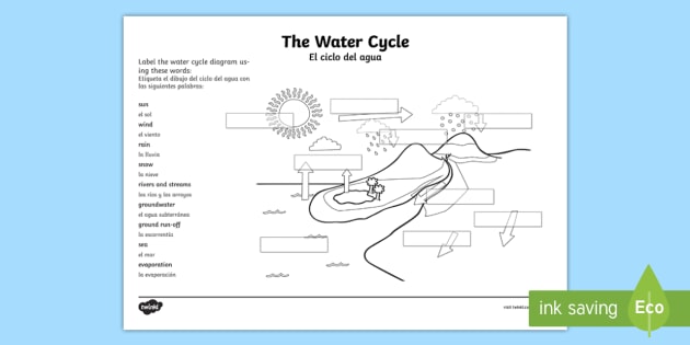 Blank Water Cycle Chart