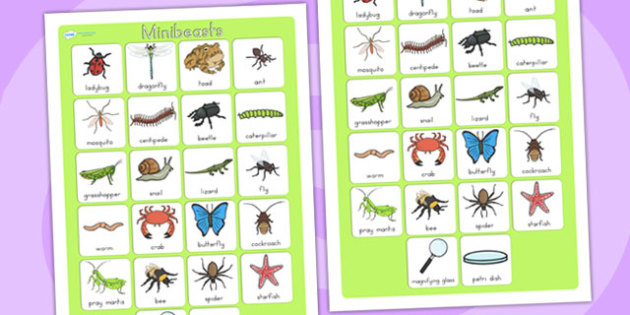 Minibeasts Vocabulary Poster Mat (teacher made)