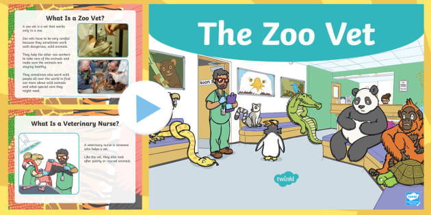 Zoo Vet Games