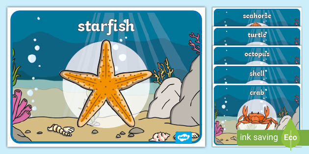 FREE! - 👉 Under the Sea Class Group Signs (Teacher-Made)