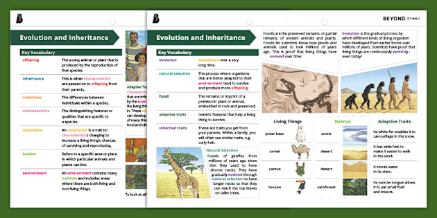 Science Knowledge Organiser Evolution and Inheritance