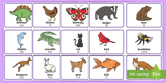 Animal Picture Flash Cards - English/Mandarin Chinese