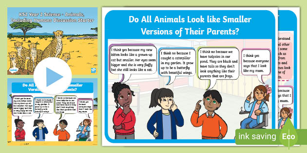 KS1 Year 2 Animals, Including Humans Science Discussion Starter
