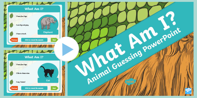 What Am I?' Guessing Game Cards Animal Themed - Twinkl