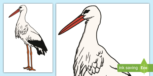 Stork Pattern To Cut Out Stork Carrying A Baby Vector Vector Download