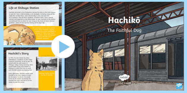 Hachiko book clearance