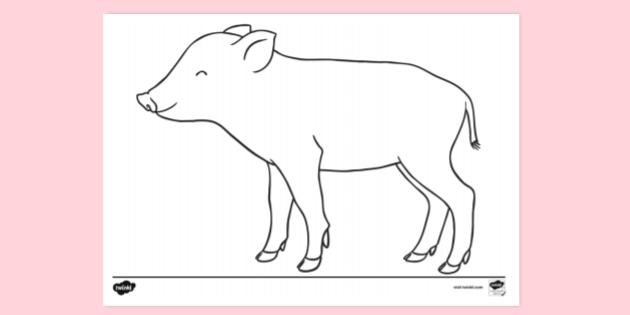 FREE! - Baby Pig Colouring Page | Colouring Sheets