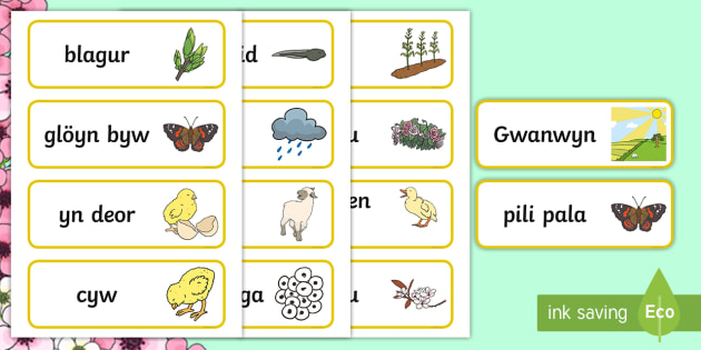 Cardiau Fflch Y Gwanwyn (teacher made)