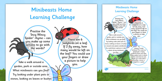 What are minibeasts eyfs picture