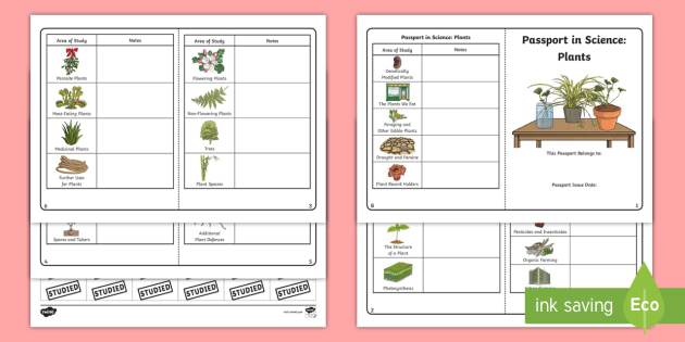 Learning Passport: All About Plants Checklist