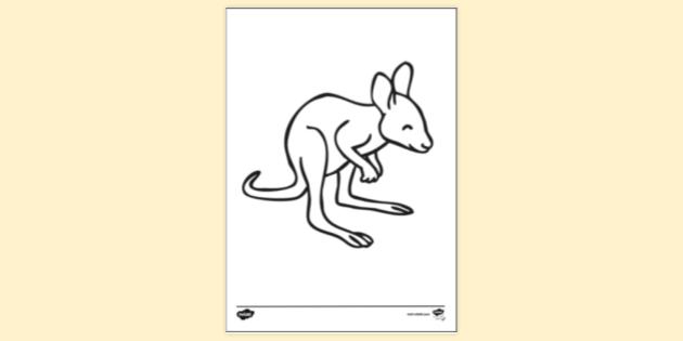 FREE! - Baby Kangaroo (Joey) Colouring Sheet | Colouring Sheets