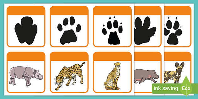 African Animal Footprint Matching Game (teacher made)