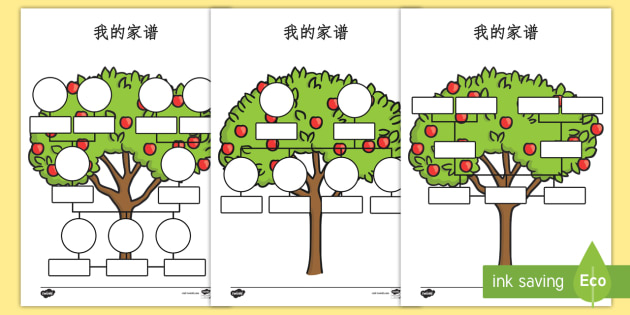 我的家谱 我的家谱 家谱模板 奶奶 爷爷 父亲 母亲