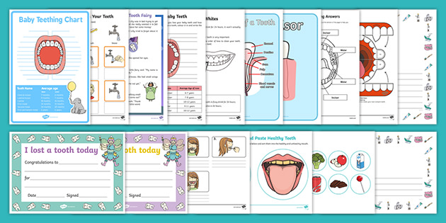 Teeth Unit Plan Teaching Resources