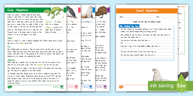 Animal Adaptation Fact Files and Writing Frames