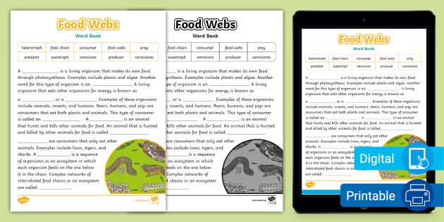 Cloze Worksheets Grade 3 Josephine Wilsons Reading Worksheets